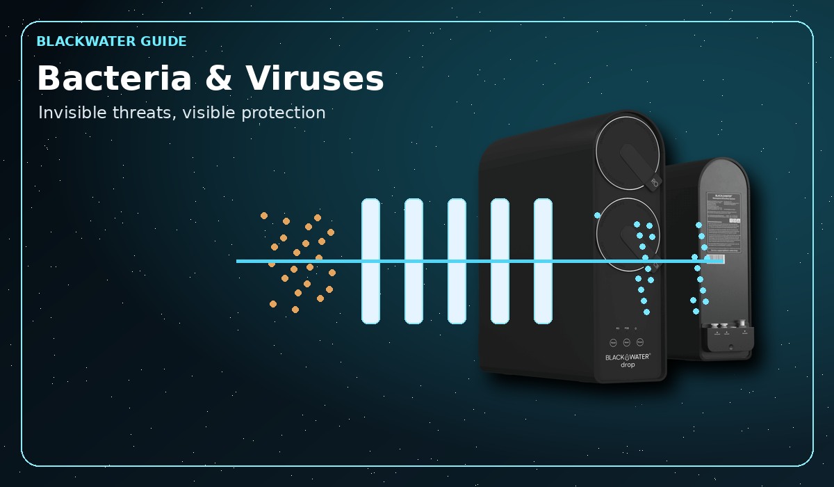 Bacteria and viruses in drinking water explained Bacteria and viruses in drinking water explained