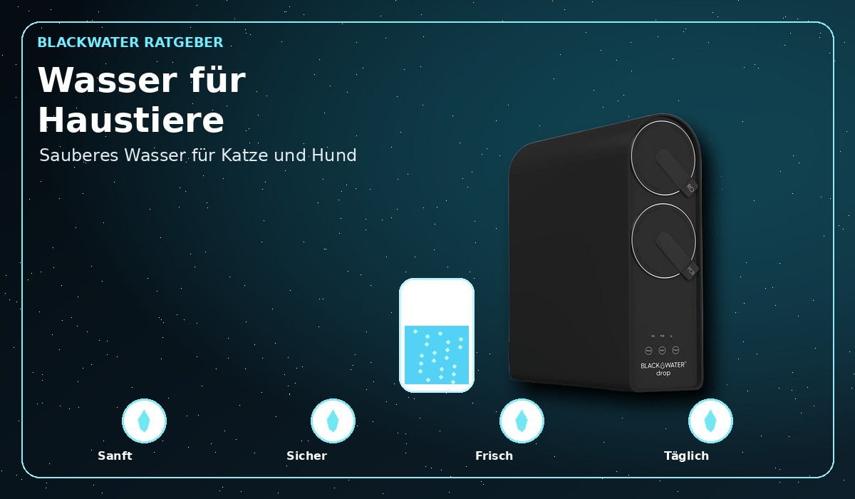 Gefiltertes Trinkwasser für Hunde und Katzen