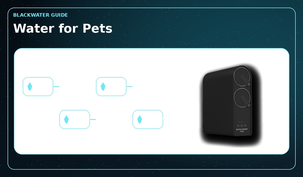 Pet drinking clean water from a bowl at home Pet drinking clean water from a bowl at home