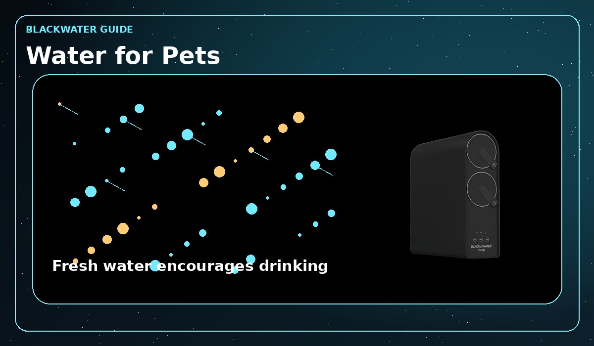 Healthy hydration for pets with filtered water Healthy hydration for pets with filtered water